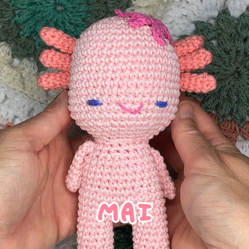 Patron de mai 2025 réservé à l'abonnement étoile de TikTok - Amy Design Crochet